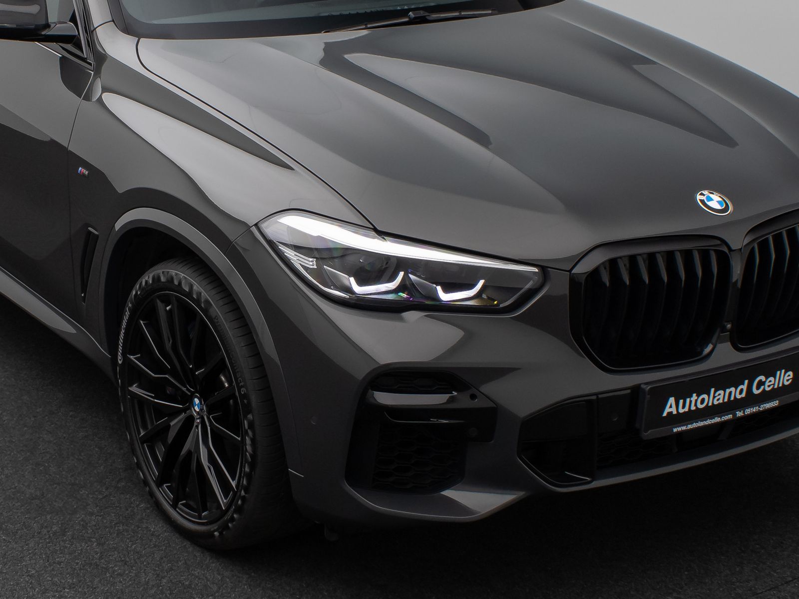 Fahrzeugabbildung BMW X5 M50i Panoram 360°HUD DAB HiFi Massage AHK 22"