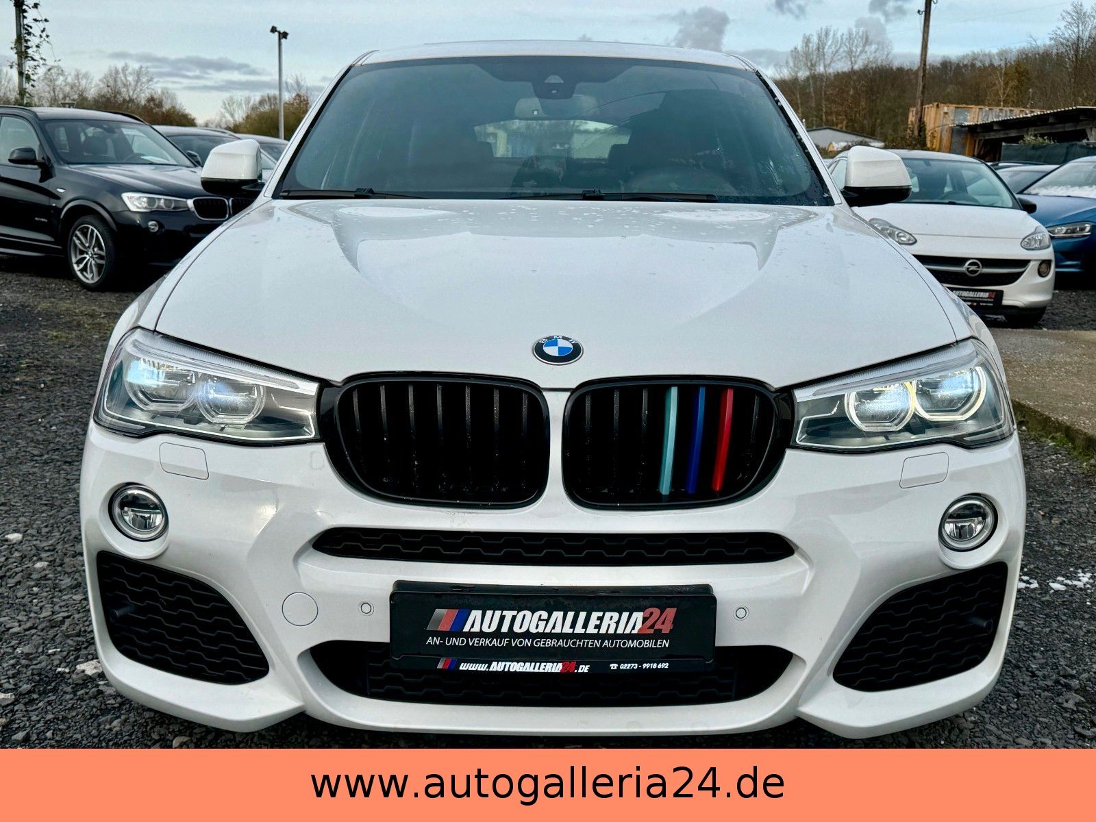 Fahrzeugabbildung BMW X4 xDrive30d M SPORTPAKET Sport-Aut. Navi Leder