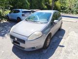 Fiat Punto Evo 1.2 5 porte S&S Active GPL 09/16 - Fiat Punto Evo: Active