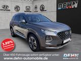 Hyundai SANTA FE 2.2 CRDi 4WD Automatik Premium AHK - graue Hyundai SANTA FE