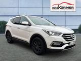 Hyundai Santa Fe 2.2 4WD Premium 7-Si.,360°,Pano,AHK - Hyundai SANTA FE: 7