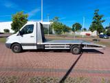 Mercedes-Benz Sprinter 313 CDI*Autotransporter*AHK 2,0t* - Mercedes-Benz Sprinter aus 2010: 313