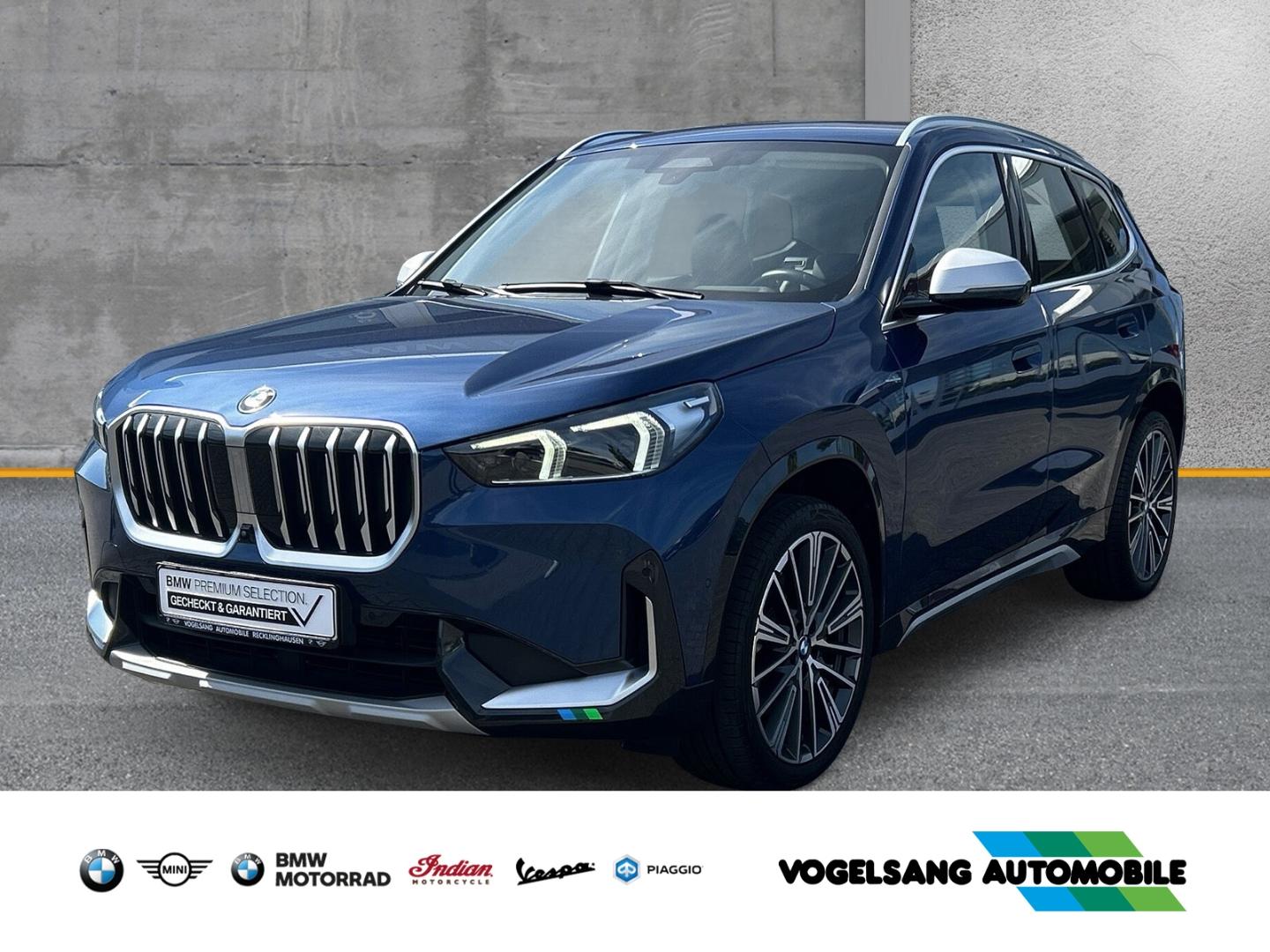 BMW X1 xDrive23dA,xLine,HeadUp,Panodach,Rückfahrk.,2