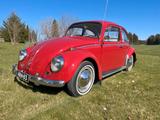 Volkswagen Käfer - gebrauchte VW Käfer aus dem Jahr 1965