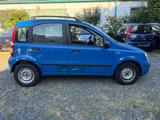 Fiat Panda 1.2 *Automatik* 8V Dynamic - Fiat Panda: Allradantrieb