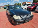 Mercedes-Benz CLK 240 AVANTGARDE - Mercedes-Benz CLK 240: Cabrio