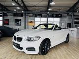 BMW M235 i Cabrio DKG*NAVI*LEDER*BI-XENON* - BMW: 23