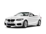 BMW 218i Cabrio M Sport Aut. Navi Business Klimaaut. - BMW 218 Gebrauchtwagen