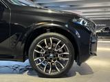 BMW X5 xDrive40d M-Sport Int-AL/AHK/StandHz/ACC/HK - BMW X5: Xdrive 40d