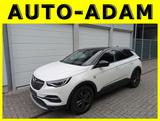 Opel Grandland 1.2 Opel 2020 - Opel Grandland (X) in Lübeck