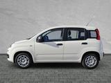 Fiat Panda Pandina POP Hybrid #KLIMA #PARKSENSOREN - Fiat Panda POP mit Hybrid-Antrieb (Benzin/Elektro)