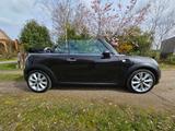 MINI Cooper Cabrio Cooper - MINI Cooper Cabrio: Kleinwagen