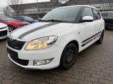 Skoda Fabia Greenline 1.2 TDI - Skoda Fabia: Greenline