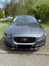 Jaguar XE 20t 200PS Portfolio Automatik Portfolio - Jaguar XE: Portfolio