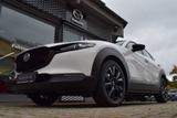 Mazda CX-30 2.5 140PS Nagisa Bose Kamera Navi Voll-LED - Mazda Tageszulassungen