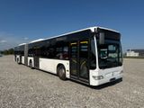 Mercedes-Benz O 530 G Citaro - Mercedes-Benz Diesel Gelenkbus G citaro