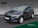 Skoda KAROQ TSI SELECTION **MATRIX*KAMERA*SITZH.*PDC** - schwarze Skoda Karoq