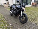 Honda Hornet CB 600 PC41 all blcck - Offers