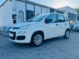 Fiat Panda 1.2 Pop Klimaalage - Fiat Panda POP mit Benzin-Antrieb