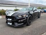 Ford Mustang Shelby GT 350+Technology-Pckg. - Ford Mustang: Gt350