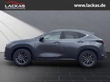 Lexus NX 350h h 243PS Executive Interi eur Paket + Tec - Lexus NX 350h Neuwagen