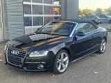 Audi A5 TFSI quattro S-Line Klimaaut XENON NAVI - Audi aus 2010: Cabrio