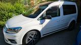 Volkswagen VW Caddy 1,4 tfsi BJ 2020 - Highline / 38.... - Volkswagen Caddy mit Benzin-Antrieb: Kombi, 1.4
