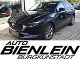 Mazda CX-30 2.5 140PS 6AG Exclusive Bose Matrix-LED 36