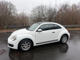 Volkswagen Beetle 1,2 TSI/Pano/Tüv Au Neu ! - Volkswagen Beetle mit Panoramadach