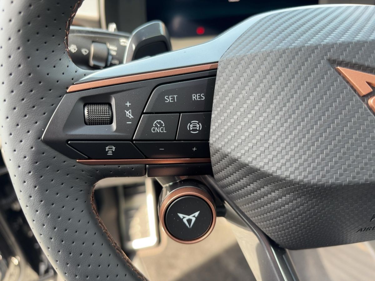 Cupra Terramar - Bild 13