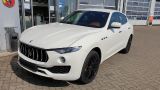 Maserati Levante Diesel - Maserati Levante aus 2020