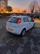 Fiat Grande Punto 1.2 8V Active - Fiat Grande Punto in Hannover