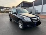 Mercedes-Benz GLK 220 CDI 4MATIC BlueEFFICIENCY - - Mercedes-Benz GLK 220: Cdi Blueefficiency
