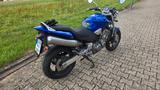 Honda Hornet 900 sc 48 2. Hand wenig Kilometer - HONDA HORNET 900