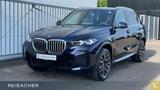 BMW X5 xDrive40d Sportpaket Autom. Parksystem DAB   - BMW X5 mit Diesel-Antrieb