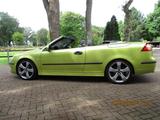 Saab 9-3 Vektor Cabrio Hirsch super Zustan... - Saab aus 2004: Cabrio