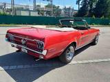 Ford Mustang  Cabrio 289 Oldtimer - Ford Mustang 289 Gebrauchtwagen
