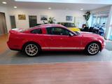 Ford Mustang Shelby GT 500 - Ford Mustang aus 2007