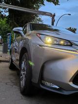 Lexus NX 300 300h Executive Line - Lexus: Allradantrieb