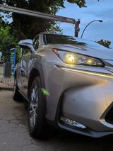 Lexus NX 300 300h Executive Line - Lexus: Geländewagen
