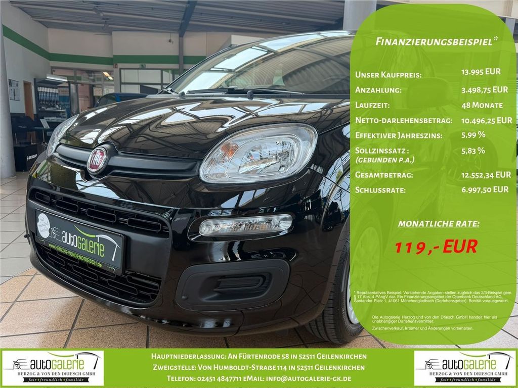 Image of Fiat Panda