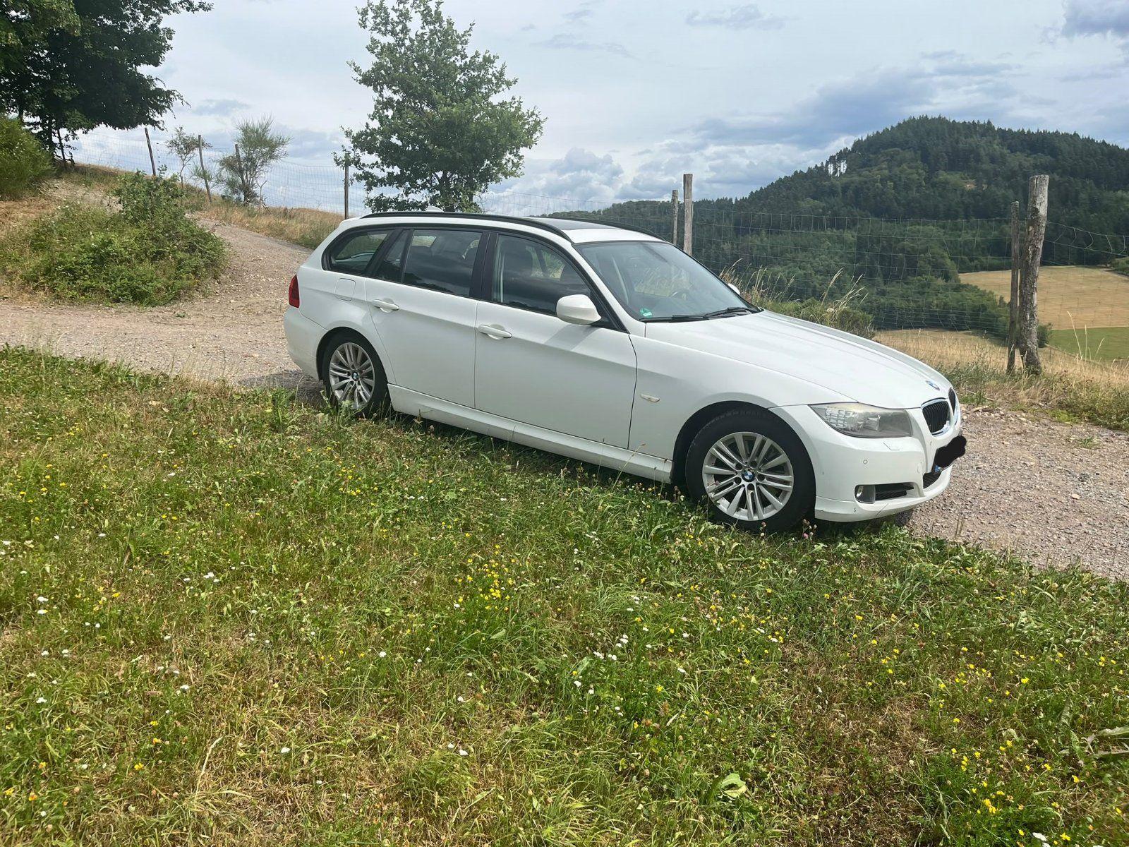 BMW 320 2010 — вигляд ззаду