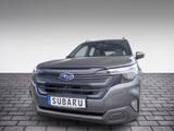 Subaru Forester 2.0 ie 100 kW AWD Exclusive LED 360° - Subaru: 3.0