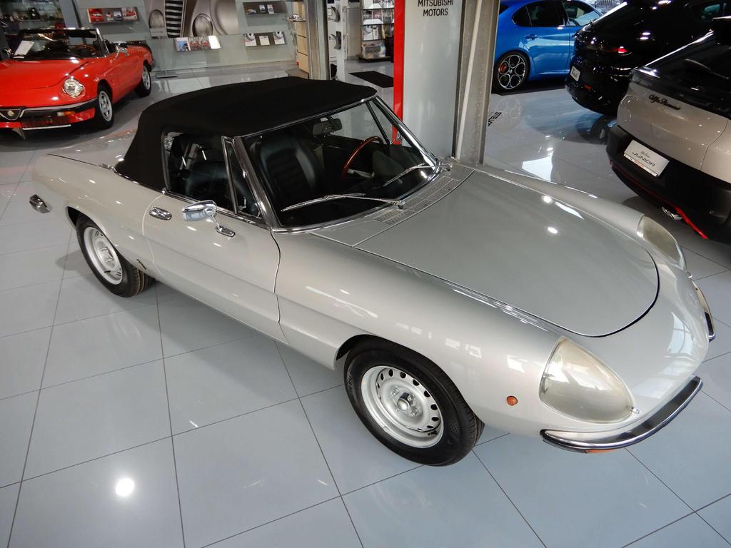 Alfa Romeo Spider
