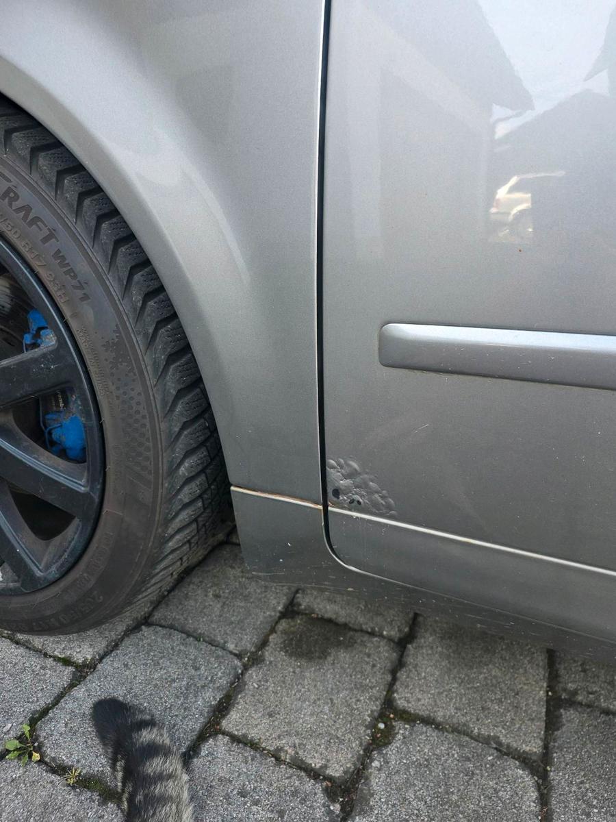 Audi A4 2004 — photo 5