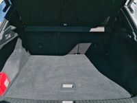 Cupra Terramar - Vorschau Bild 14