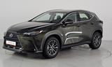 Lexus NX 350h 4x4 Comfort Top - Lexus aus 2023