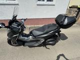 Honda Forza 300 1. Hand, sehr gepflegt! - HONDA ROLLER 300