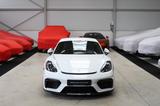 Porsche 718 Cayman GT4/Approved 05.2026/Kamera/Schalter - Porsche Cayman in Stuttgart