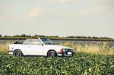 Ford Escort - Ford Escort aus 1984